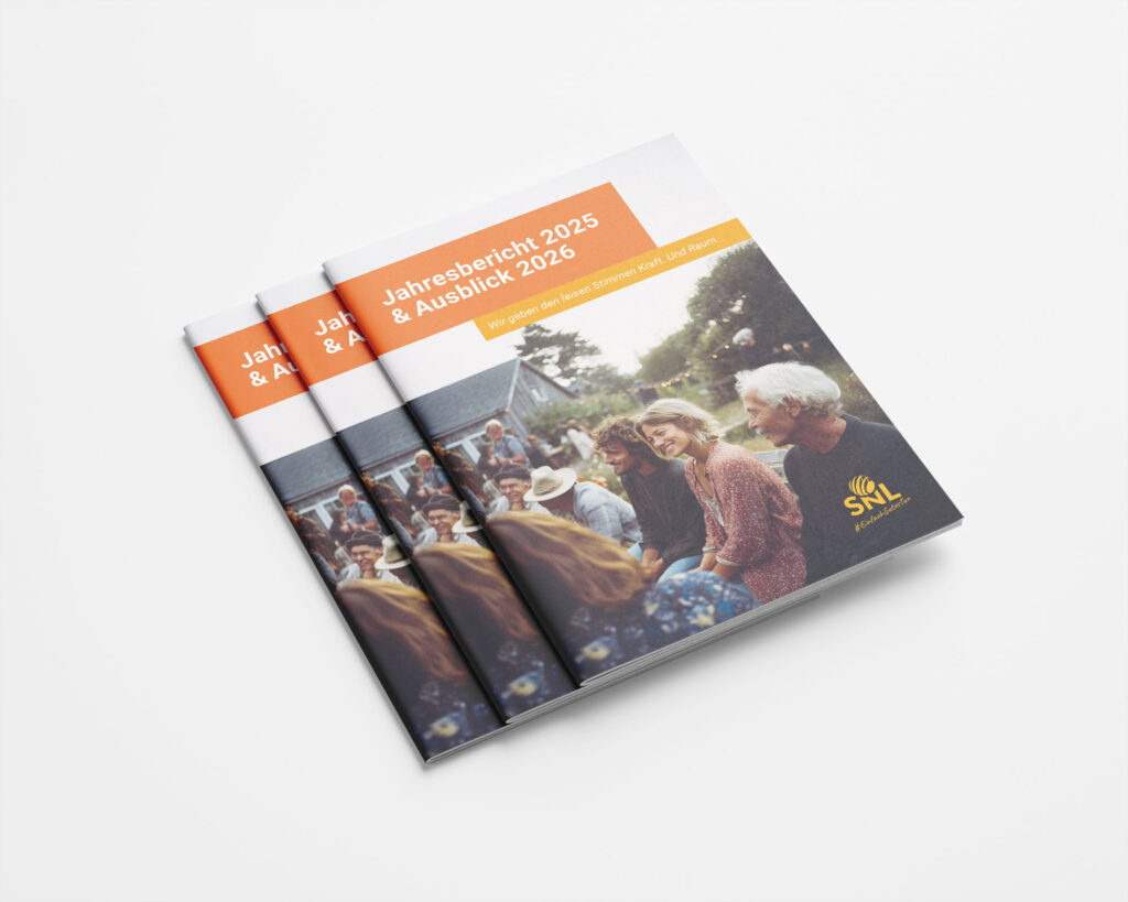 Covergestaltung Broschüre Soziales Netzwerk Lausitz Görlitz Grafikdesign